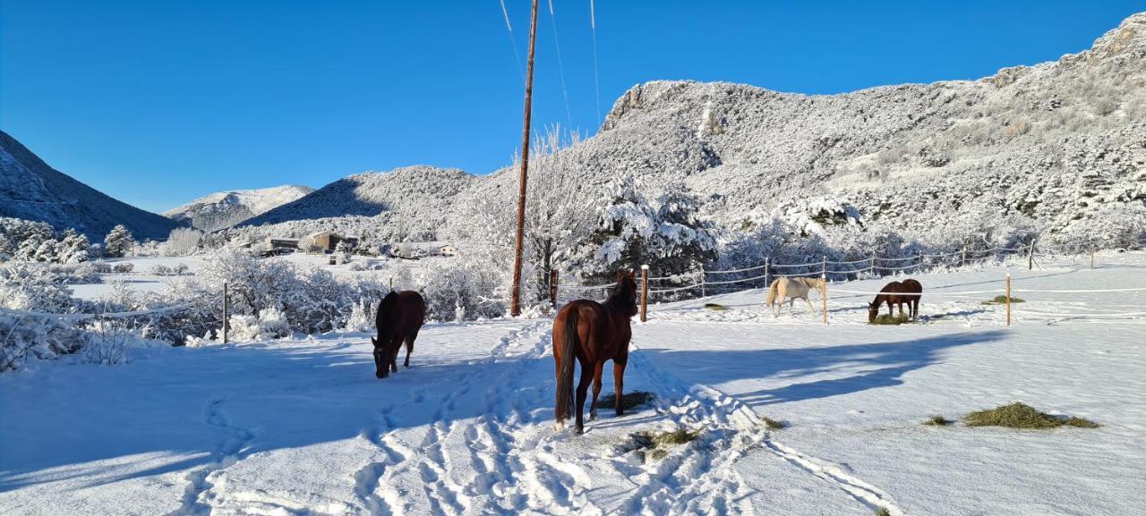 Haras De Seranon Villa Exteriör bild